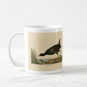 Gallinule von Audubons Vögeln Amerikas Kaffeetasse