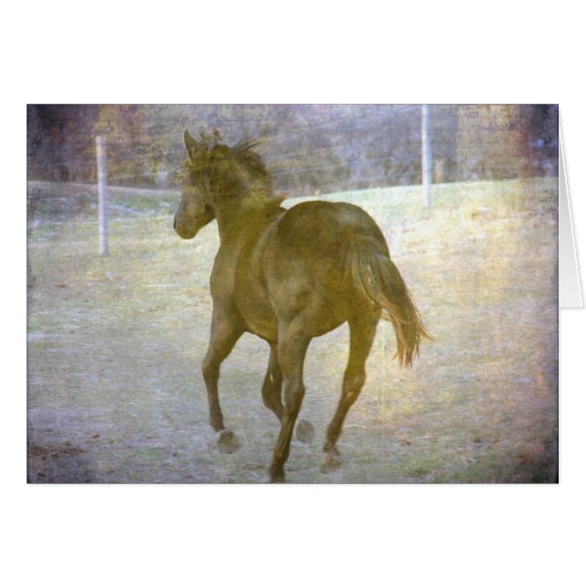 Gallop Away (Vorderseite (Horizontal))