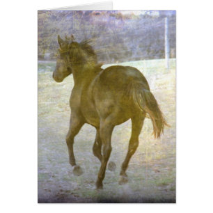 Gallop Away