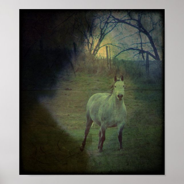 Gallop Grunge Poster (Vorne)