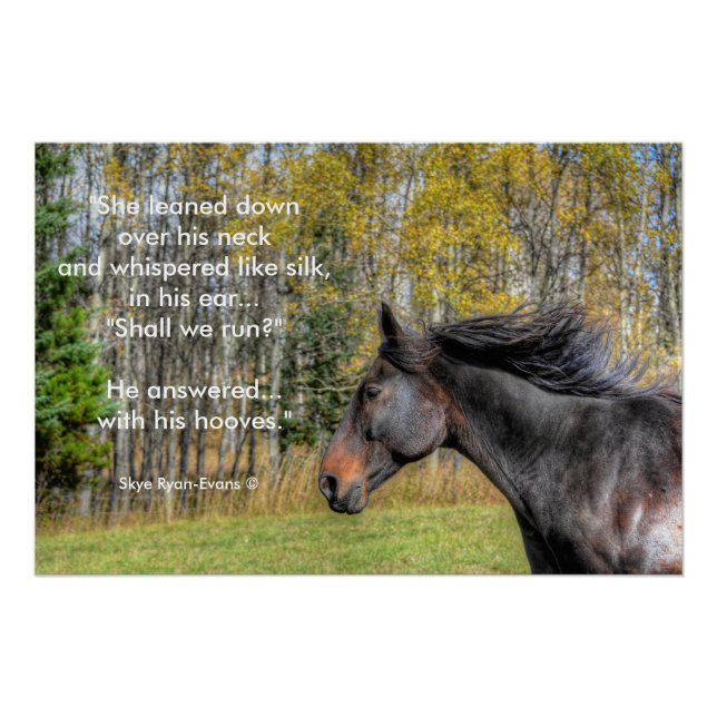 Galloping Black Horse and Horse Liebhaber Equine G Poster (Vorderseite)