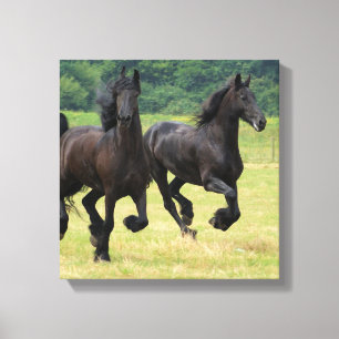 Galloping Friesian Horses Canvas Print Leinwanddruck
