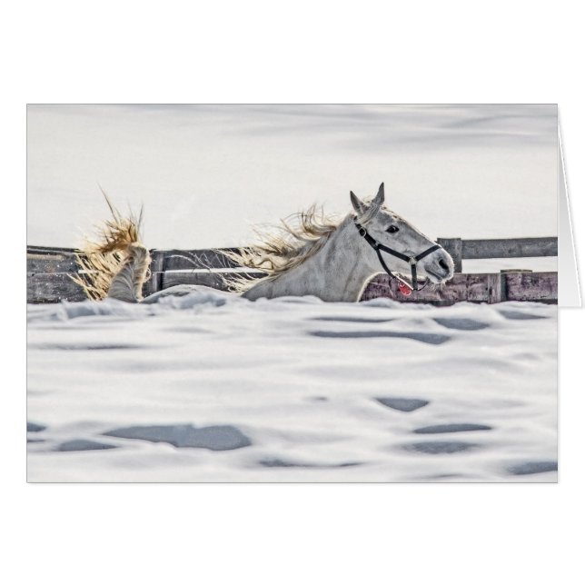 Galloping im Schnee (Vorderseite (Horizontal))