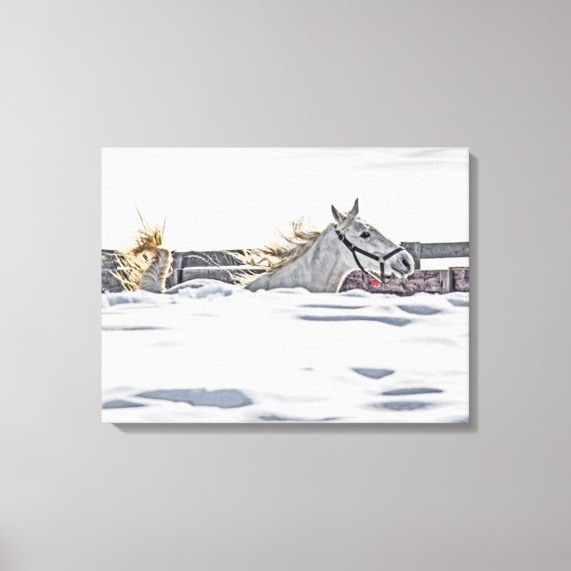 Galloping im Schnee Leinwanddruck (Vorderseite)