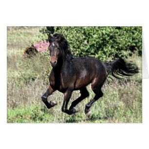 Galloping Kastanienpferd