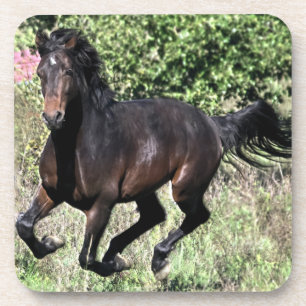 Galloping Kastanienpferd Untersetzer