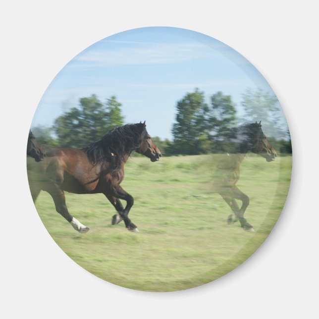 Galloping Mustangs Round Magnet (Vorne)