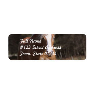 Galloping Palomino Mailing Labels