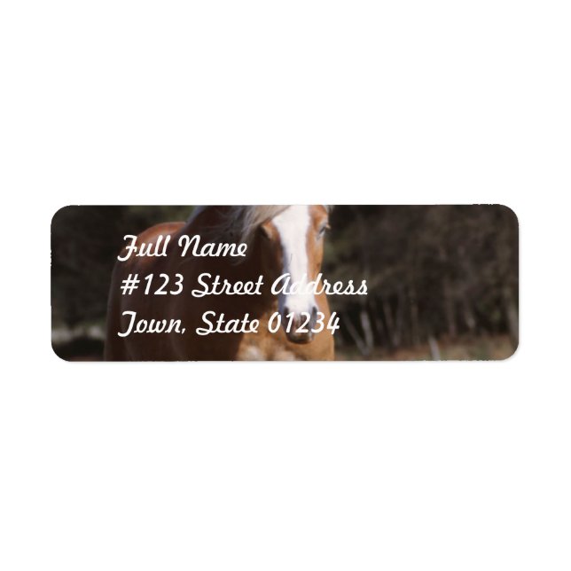 Galloping Palomino Mailing Labels (Vorne)