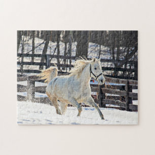Galloping Weißes Pferd