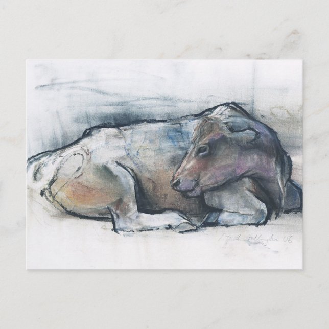 Galloway 2006 postkarte (Vorderseite)