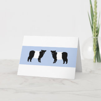 Galloway calf brthday card dankeskarte