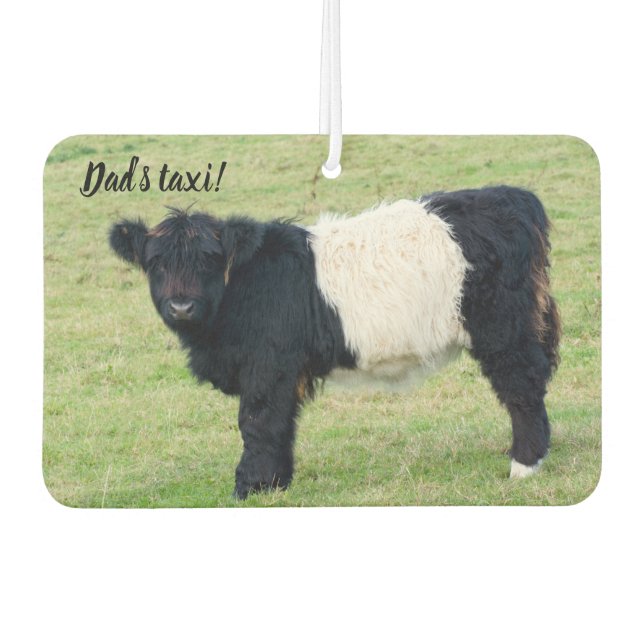 Galloway Calf Friseur Autolufterfrischer (Vorderseite)