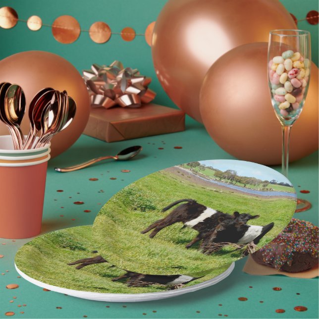 Galloway Calves, Teller, Papier Pappteller (Multi)