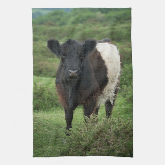 Galloway Cow Geschirrtuch (Vertikal)