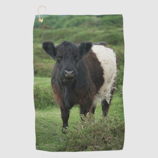 Galloway Cow Golfhandtuch (Vorderseite)