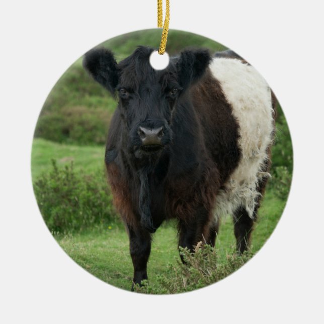 Galloway Cow Keramik Ornament (Vorne)