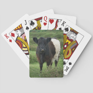 Galloway Cow Spielkarten