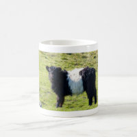 Galloway-Kalb Standard-Tasse