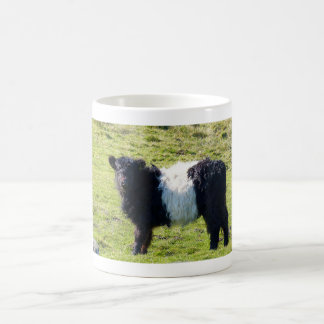 Galloway-Kalb Standard-Tasse Kaffeetasse