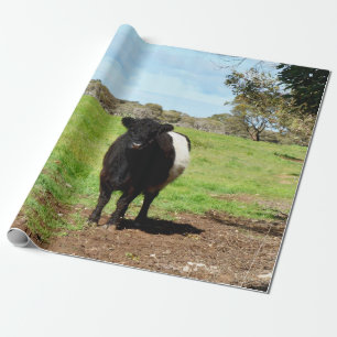 Galloway-Kuh, gelb, Geschenkpapier