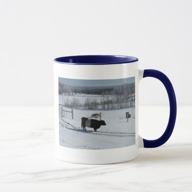 Galloway Kuh in einer wunderschönen, schneebedeckt Tasse (Rechts)