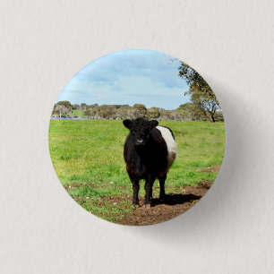 Galloway-Kuh, Schlüsselring Button