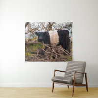 Galloway Kuh Stehend von gefallenem Baum