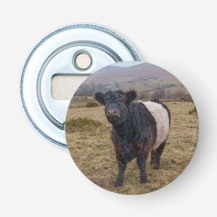 Galloway Stehend Stolz auf Dartmoor Farmlan Flaschenöffner