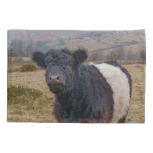 Galloway Stehend Stolz auf Dartmoor Farmlan Kissenbezug