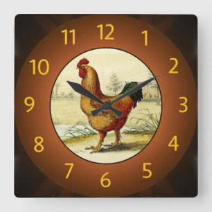 Gallus Domesticus (Hahn) Küche -  Quadratische Wanduhr