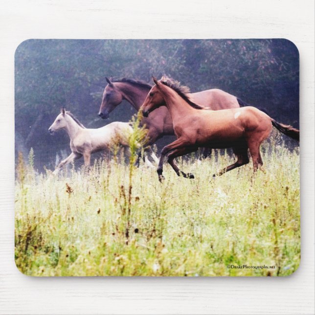 Galoping Pferde Fotografie Mousepad (Vorne)