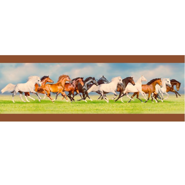 Galopp T-Shirt (Von Creator hochgeladen)