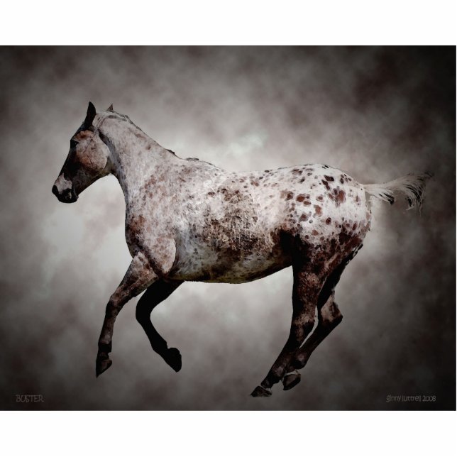 Galoppierendes Appy Freistehende Fotoskulptur (Vorne)