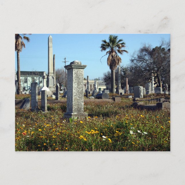 Galveston Graveyard Postkarte (Vorderseite)