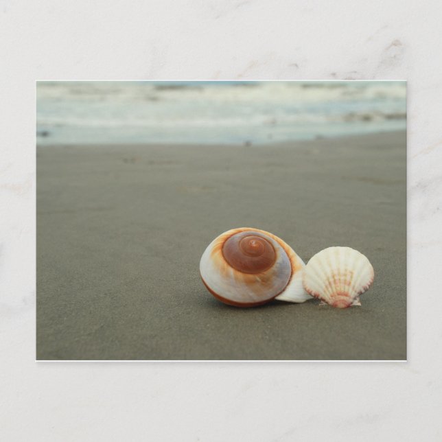 Galveston Island Postcard Postkarte (Vorderseite)