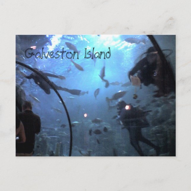 Galveston Island Postkarte (Vorderseite)