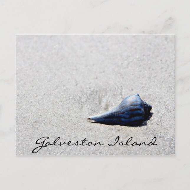 Galveston Island Sea Muschel Postkarte (Vorderseite)