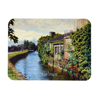 Galway City Ireland Landschaftlich Canal View Magnet