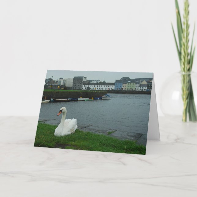 Galway-Schwan-Anmerkungs-Karte Karte (Vorderseite)