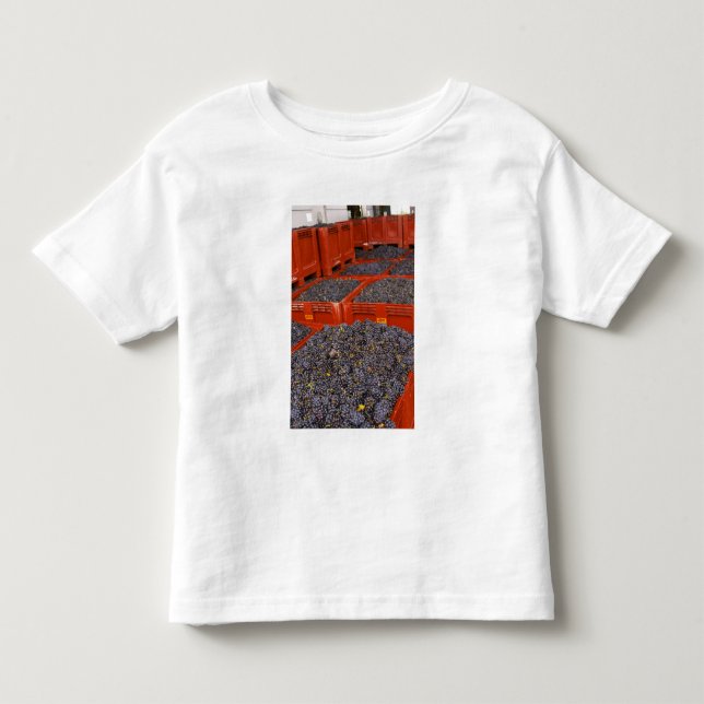 Gamay-Trauben unmittelbar nach der Ernte im Kleinkind T-shirt (Vorderseite)