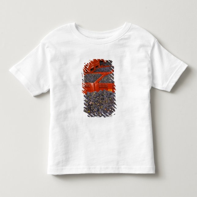 Gamay-Trauben unmittelbar nach der Ernte im Kleinkind T-shirt (Vorderseite)