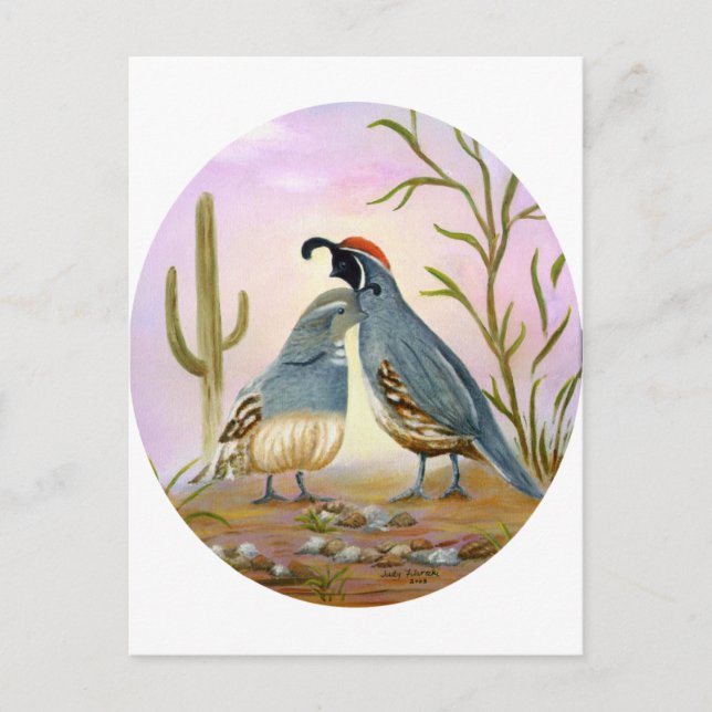 Gambel Quails Postkarte (Vorderseite)