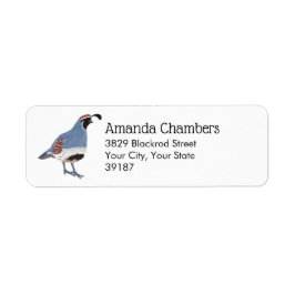 Gambel's Quail Bird Illustration