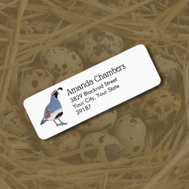 Gambel's Quail Bird Illustration (Von Creator hochgeladen)