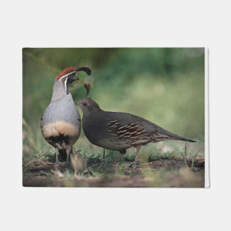 Gambel's Quail Door Mat Fußmatte