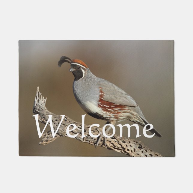Gambels Quail Fußmatte (Vorderseite)