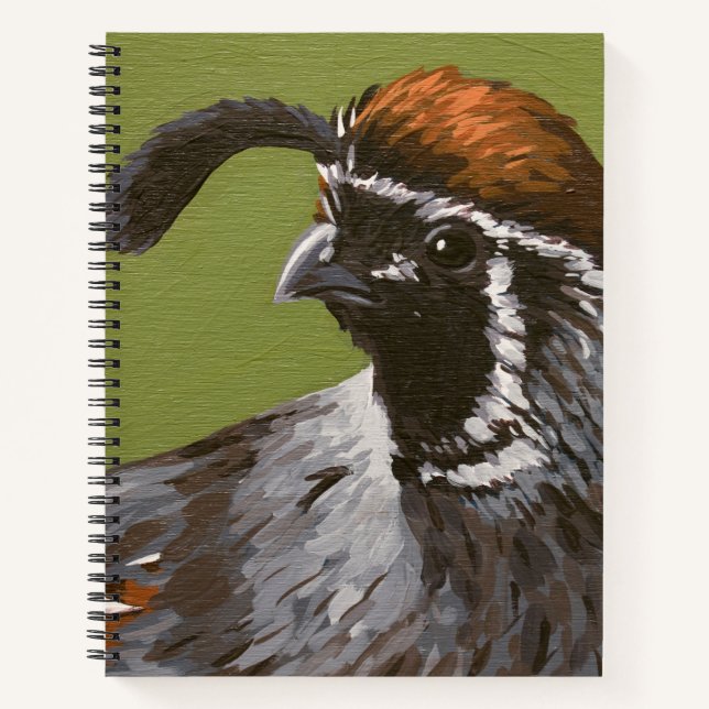 Gambels Quail Notizbuch (Vorderseite)