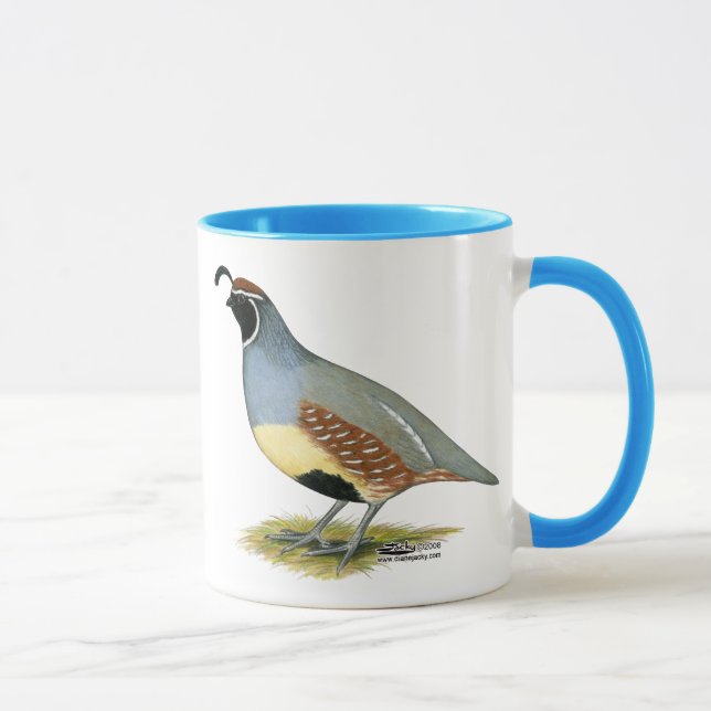Gambels Wüsten-Wachteln Tasse (Rechts)