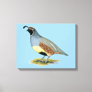 Gambels Wüstenquail Leinwanddruck